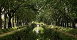 Canal du Midi