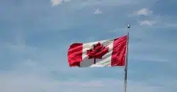 AVE Canada 2019