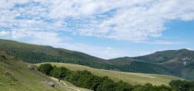 a landscape with hills and trees